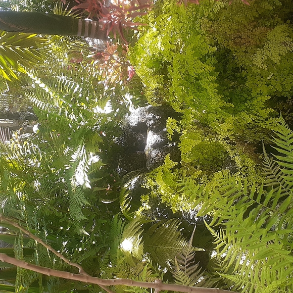 FASHION TO NATURE pause break Enjoy - Picture 6 of 6